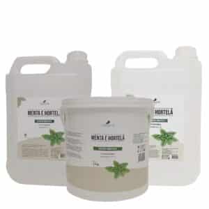 Kit Lavatório Menta e Hortelã 5 Litros Shampoo Condicionador Máscara 2,5kg Frescor